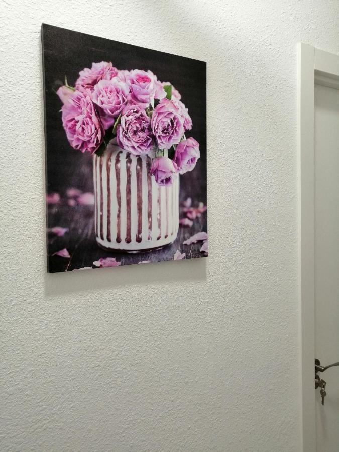 La Marina Hostel Αλικάντε Εξωτερικό φωτογραφία